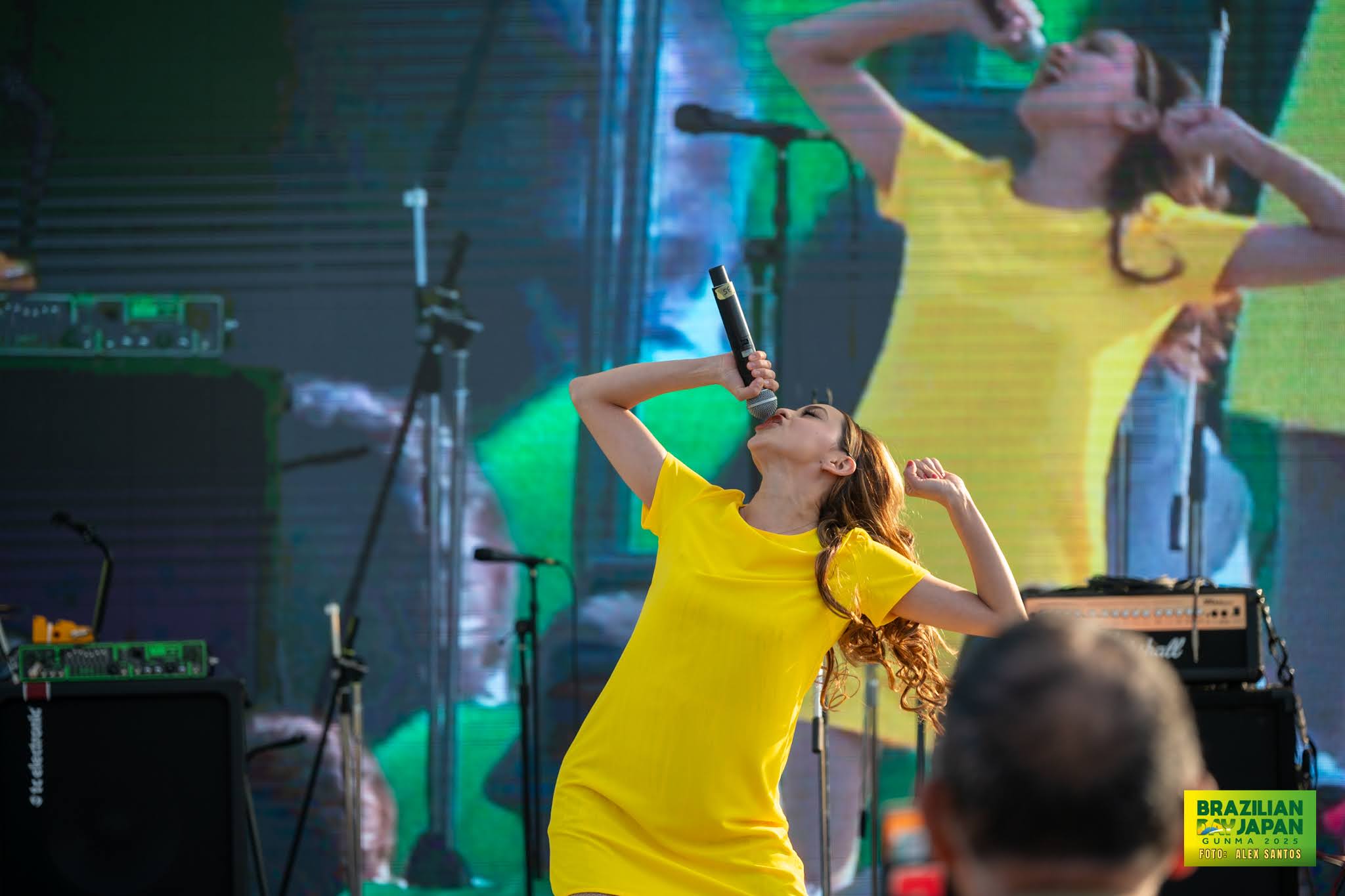 assets/gallery/Brazilian_Day_2025-04-26_6/_ALE5822.jpg